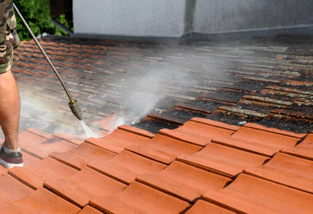 Best Exterior Home Cleaning  in Nelsonville, OH
