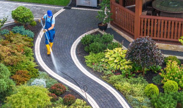 Best Roof Power Washing Services  in Nelsonville, OH